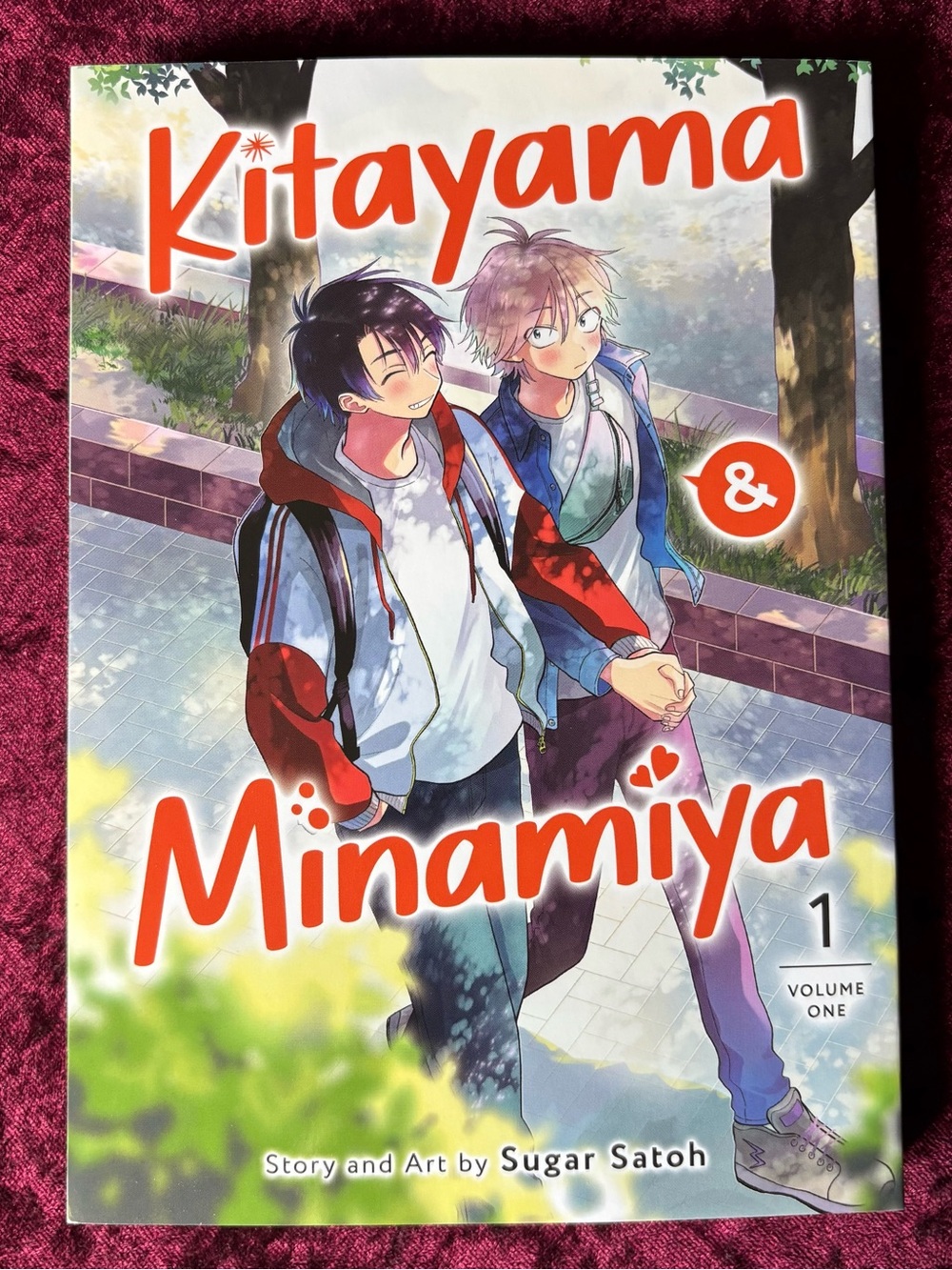Kitayama & Minamiya Vol. 1 Manga